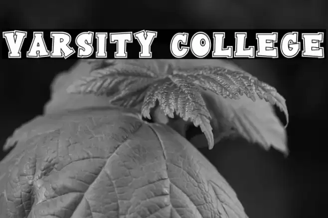 Varsity College 字体 examples