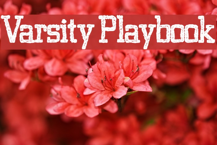 Varsity Playbook Font examples