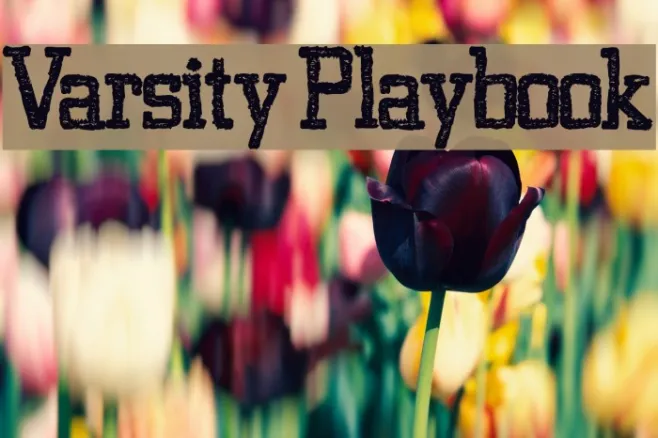 Varsity Playbook Example 2
