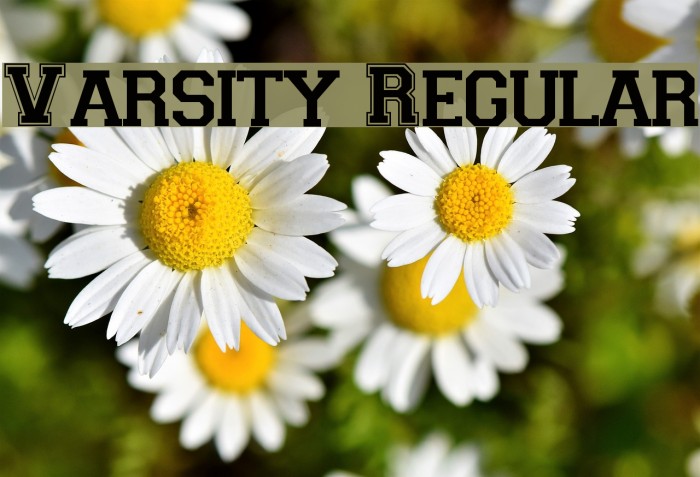 Varsity Regular Font examples
