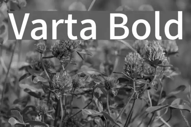 Varta Bold Font examples