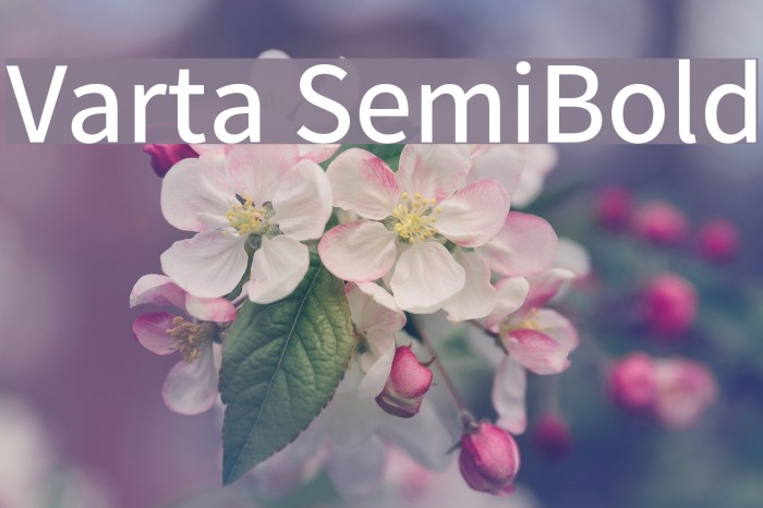 Varta SemiBold Font examples