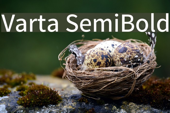 Varta SemiBold Font examples