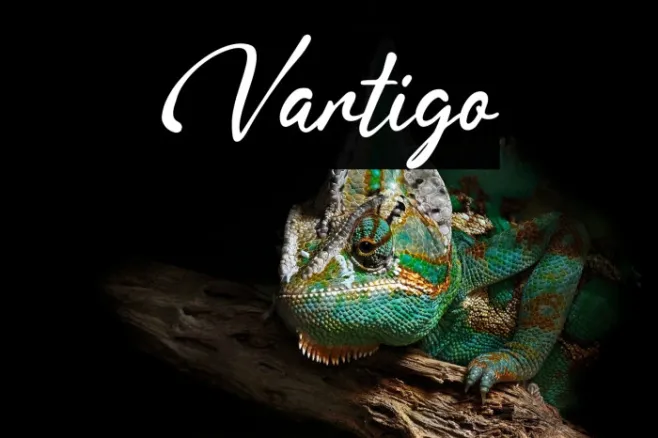 Vartigo Example 2
