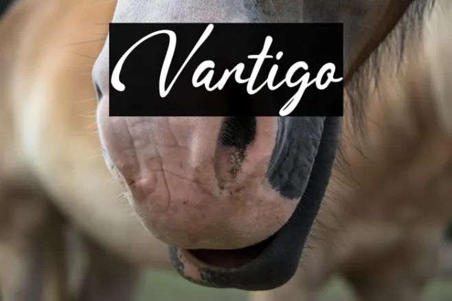 Vartigo Example 3
