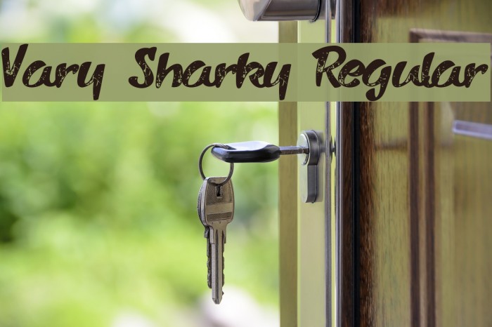 Vary Sharky Regular Font examples