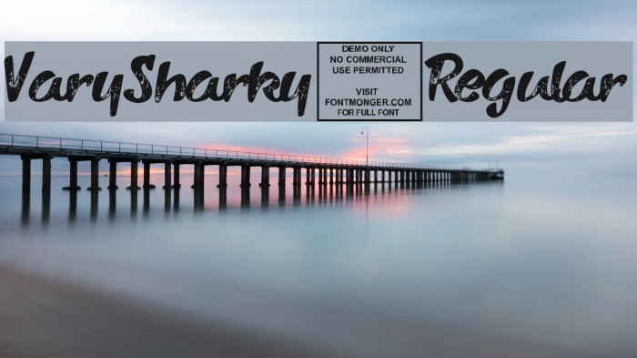 VarySharky-Regular Example 1