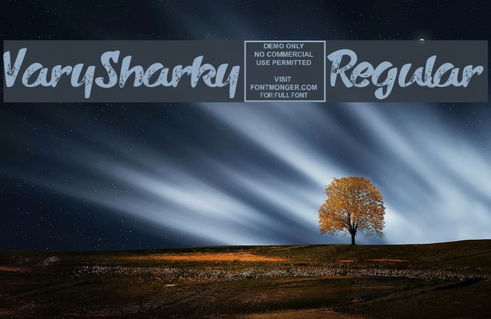 VarySharky-Regular Example 2