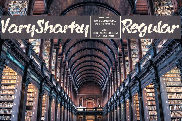 VarySharky-Regular Example 3