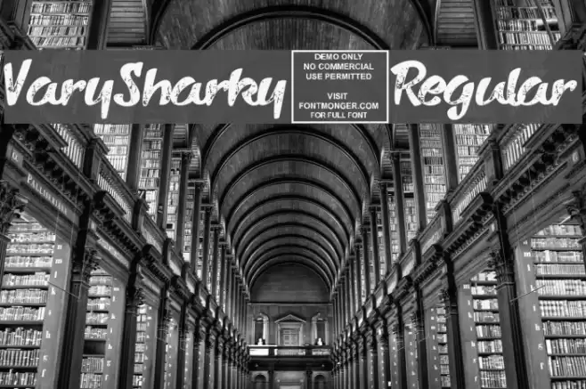 VarySharky-Regular Font examples