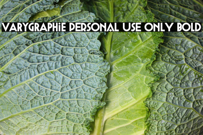 Varygraphie PERSONAL USE ONLY Bold Example 3