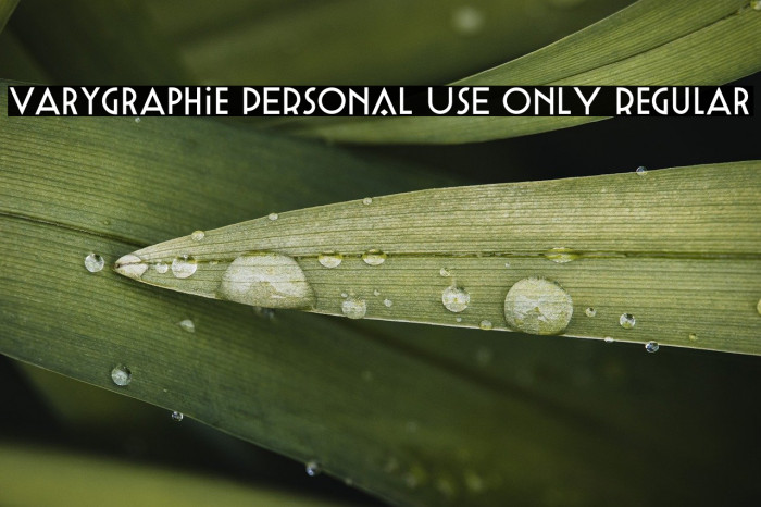 Varygraphie PERSONAL USE ONLY Regular Example 2