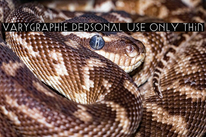 Varygraphie PERSONAL USE ONLY Thin Example 2