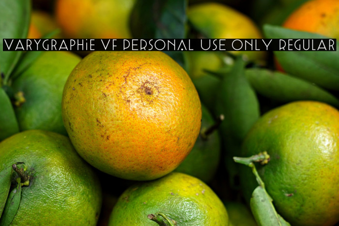 Varygraphie VF PERSONAL USE ONLY Regular Example 1