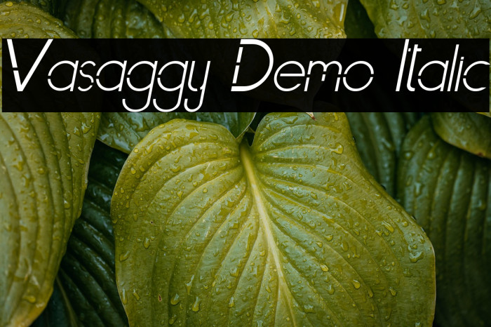 Vasaggy Demo Italic Example 1