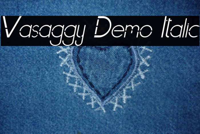 Vasaggy Demo Italic Example 2