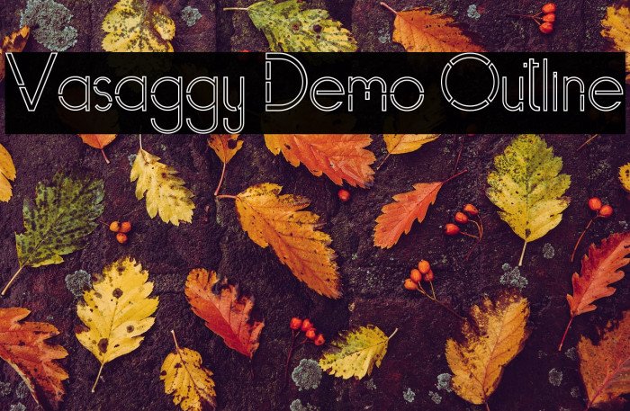 Vasaggy Demo Outline Example 1