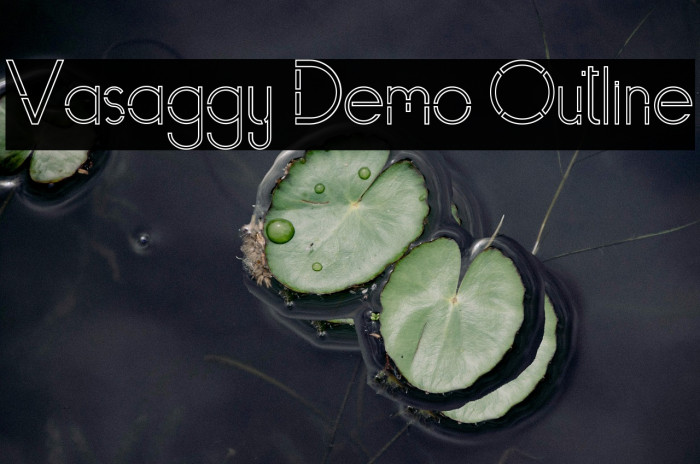 Vasaggy Demo Outline Example 2