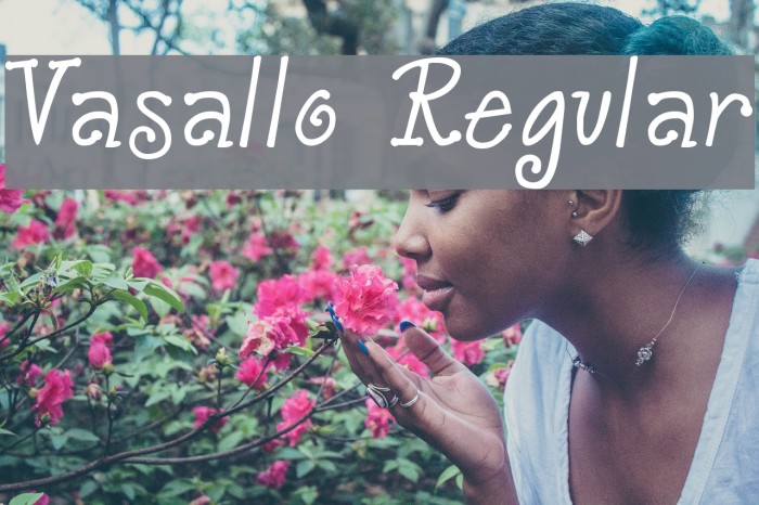 Vasallo Regular Font examples