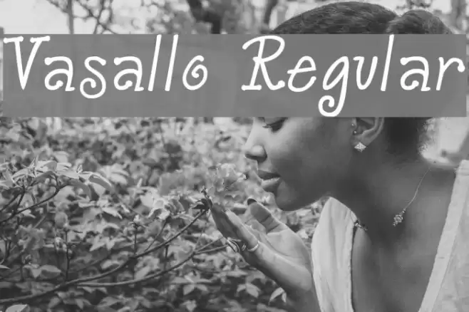 Vasallo Regular Шрифта examples