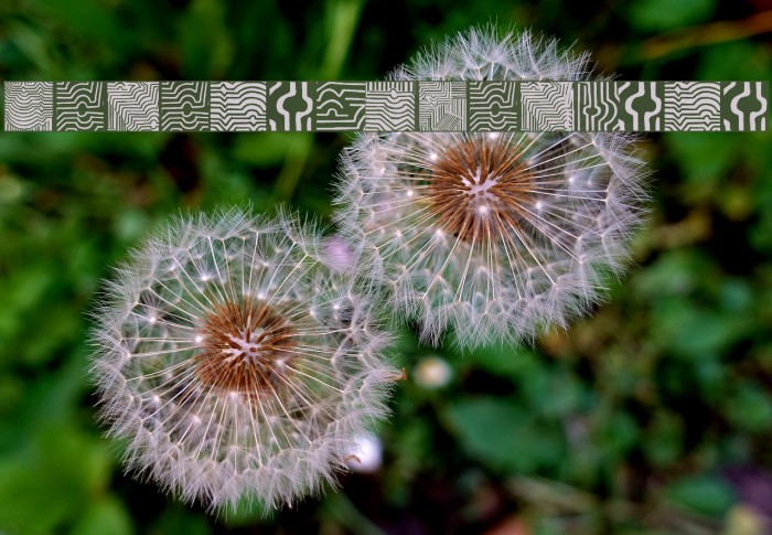 VasarelyWasHere Example 1