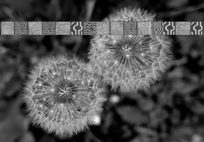 VasarelyWasHere Font examples