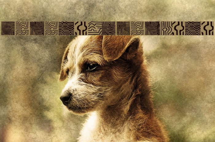 VasarelyWasHere Example 3