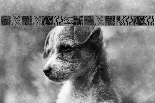 VasarelyWasHere Font examples