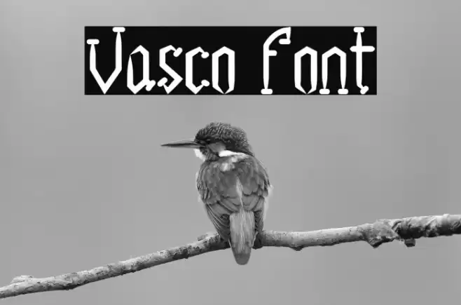 Vasco Font examples