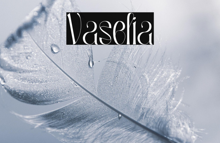 Vaselia Example 1
