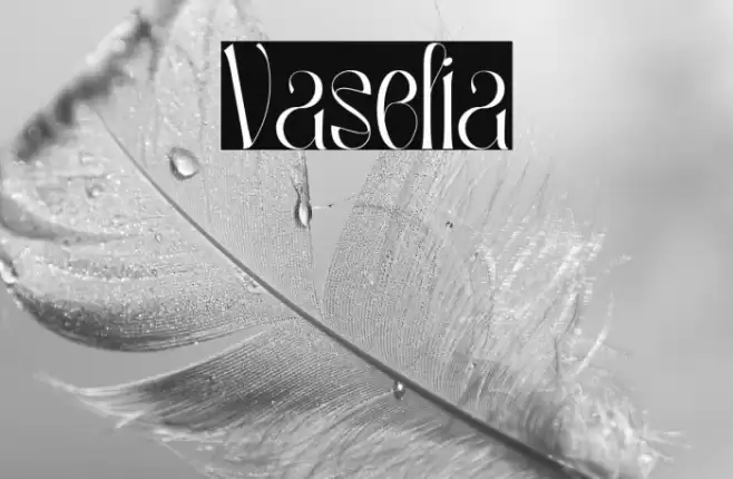 Vaselia Font examples