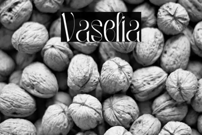 Vaselia Font examples