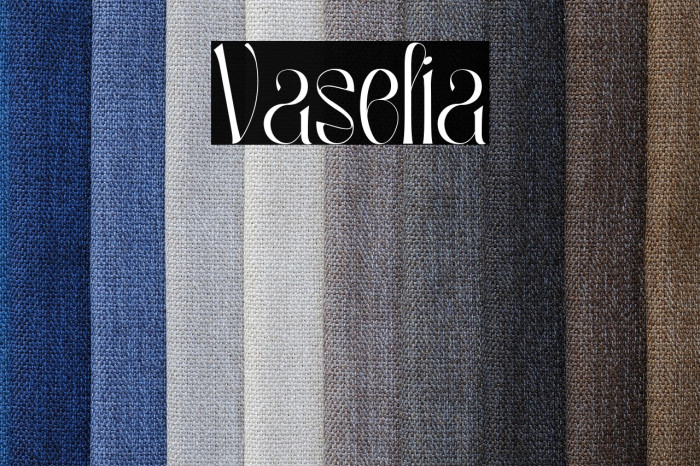 Vaselia Example 3