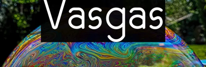 Vasgas Example 1