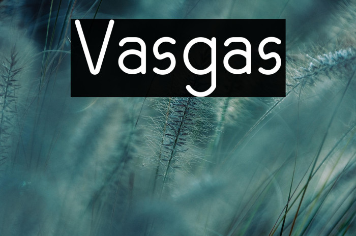 Vasgas Example 2