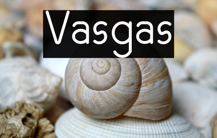 Vasgas Example 3