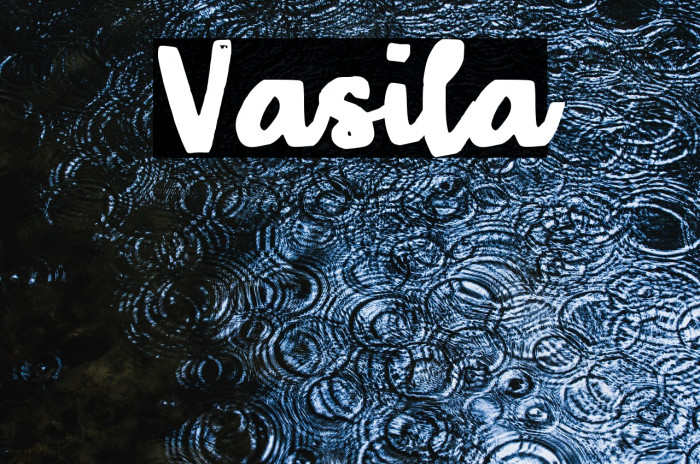 Vasila Example 2
