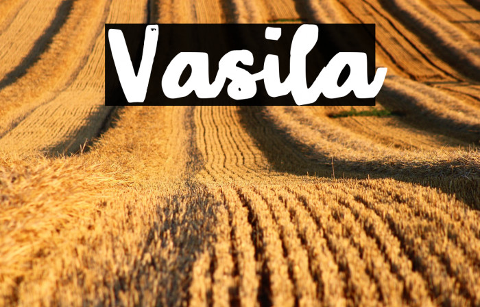Vasila Example 3