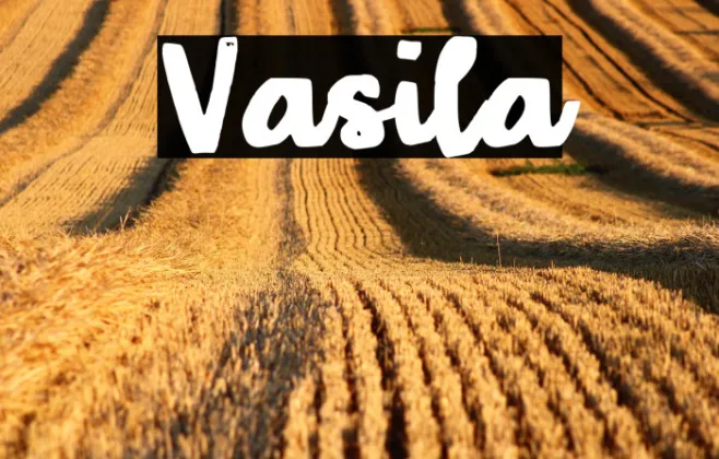 Vasila Example 3