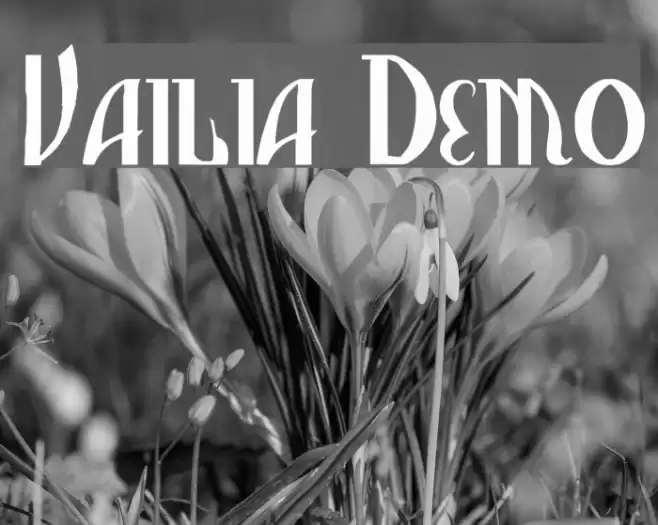 Vasilisa Demo Font examples