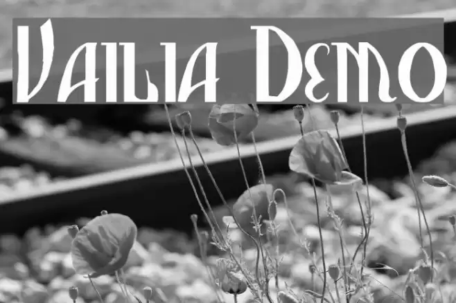 Vasilisa Demo Font examples
