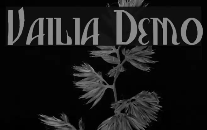 Vasilisa Demo Font examples