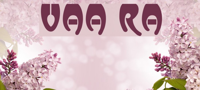 Vassar Regular Font examples