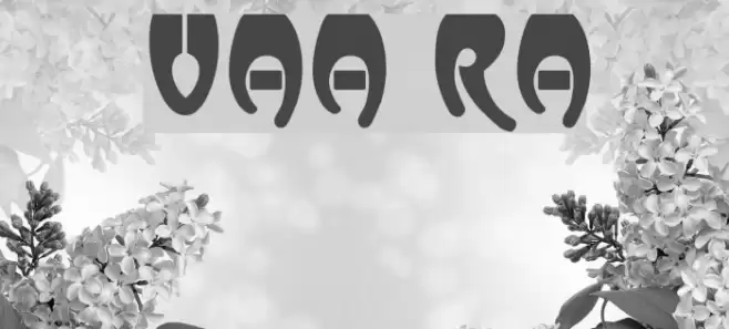 Vassar Regular Шрифта examples