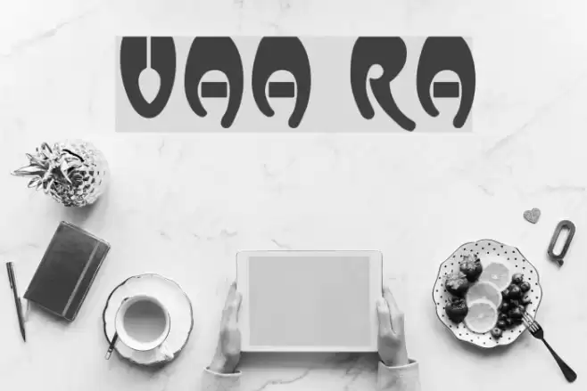 Vassar Regular Шрифта examples