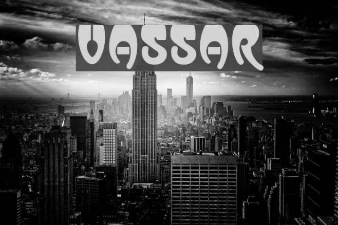 Vassar Example 3