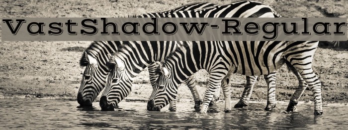 VastShadow-Regular Font examples