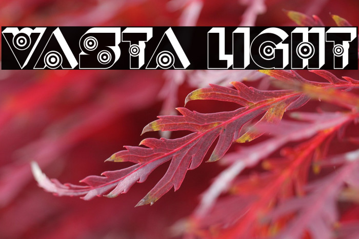 Vasta Light Example 1