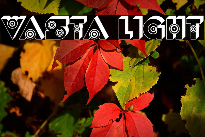 Vasta Light Example 3