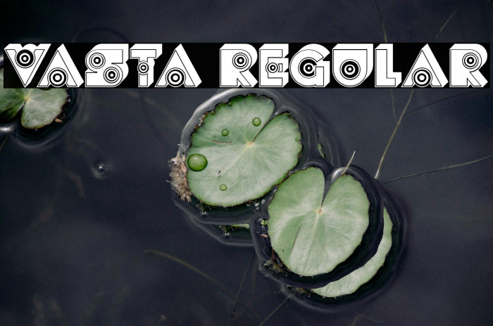 Vasta Regular Example 2